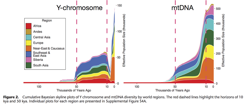 From,  A recent bottleneck of Y chromosome diversity coincides with a global change in culture