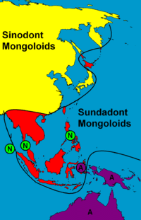 200px-Mongoloid_Australoid_Negrito_Asia_Distribution_of_Asian_peoples_Sinodont_Sundadont