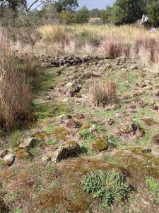 Lake Condah  Ruins Of Ancient Aboriginal Engineering Drainage Works