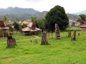 Funerary Monoliths, Toraja 